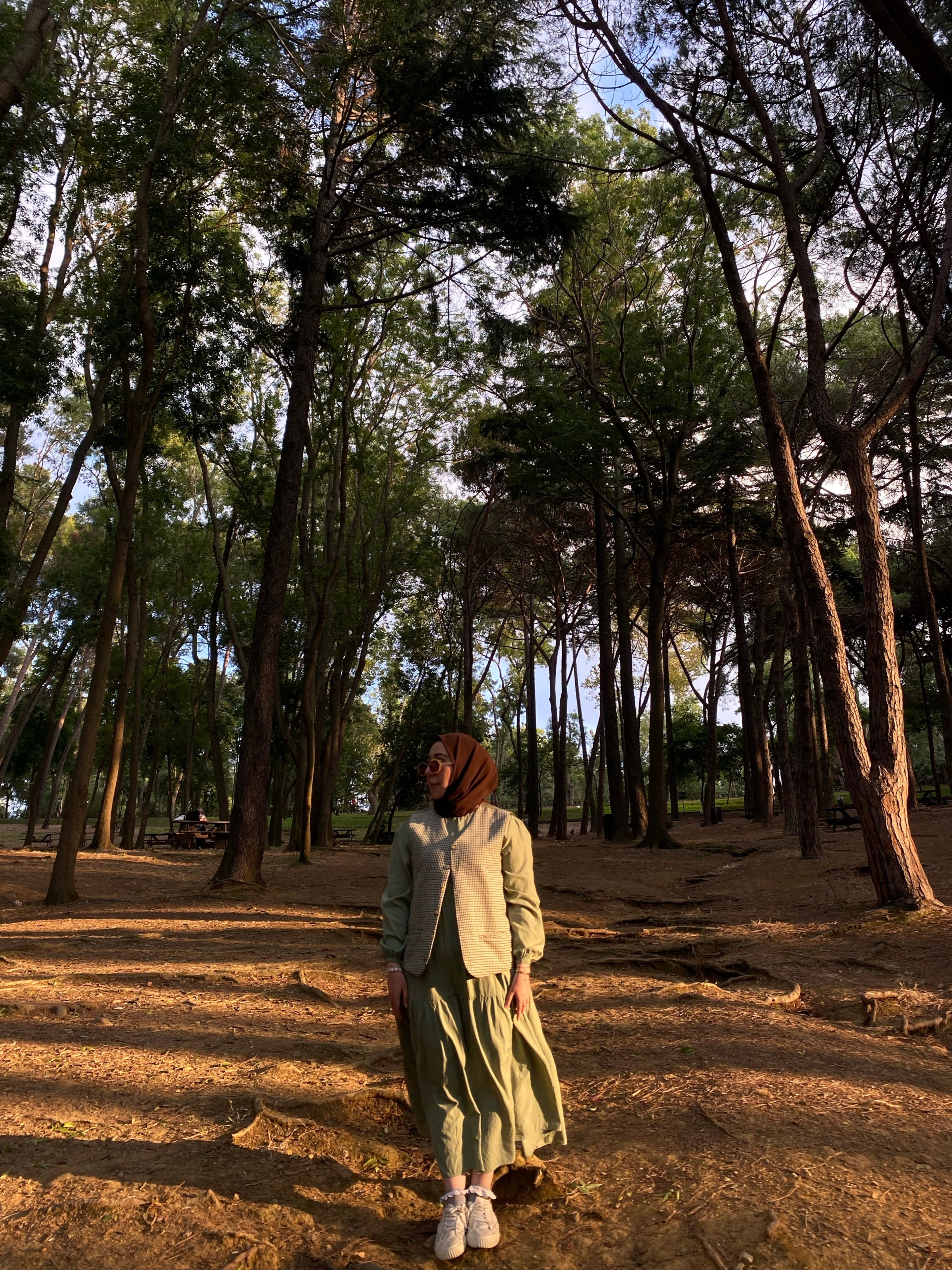 Woman in Hijab in Forest on Sunset · Free Stock Photo