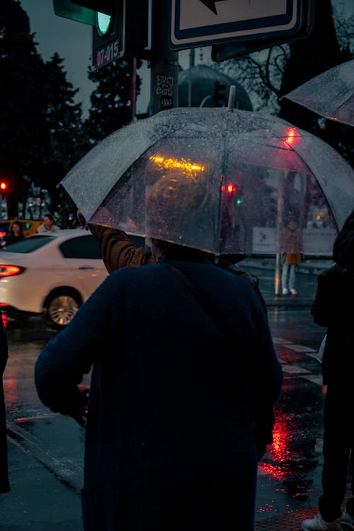 Person with Umbrella in Rain