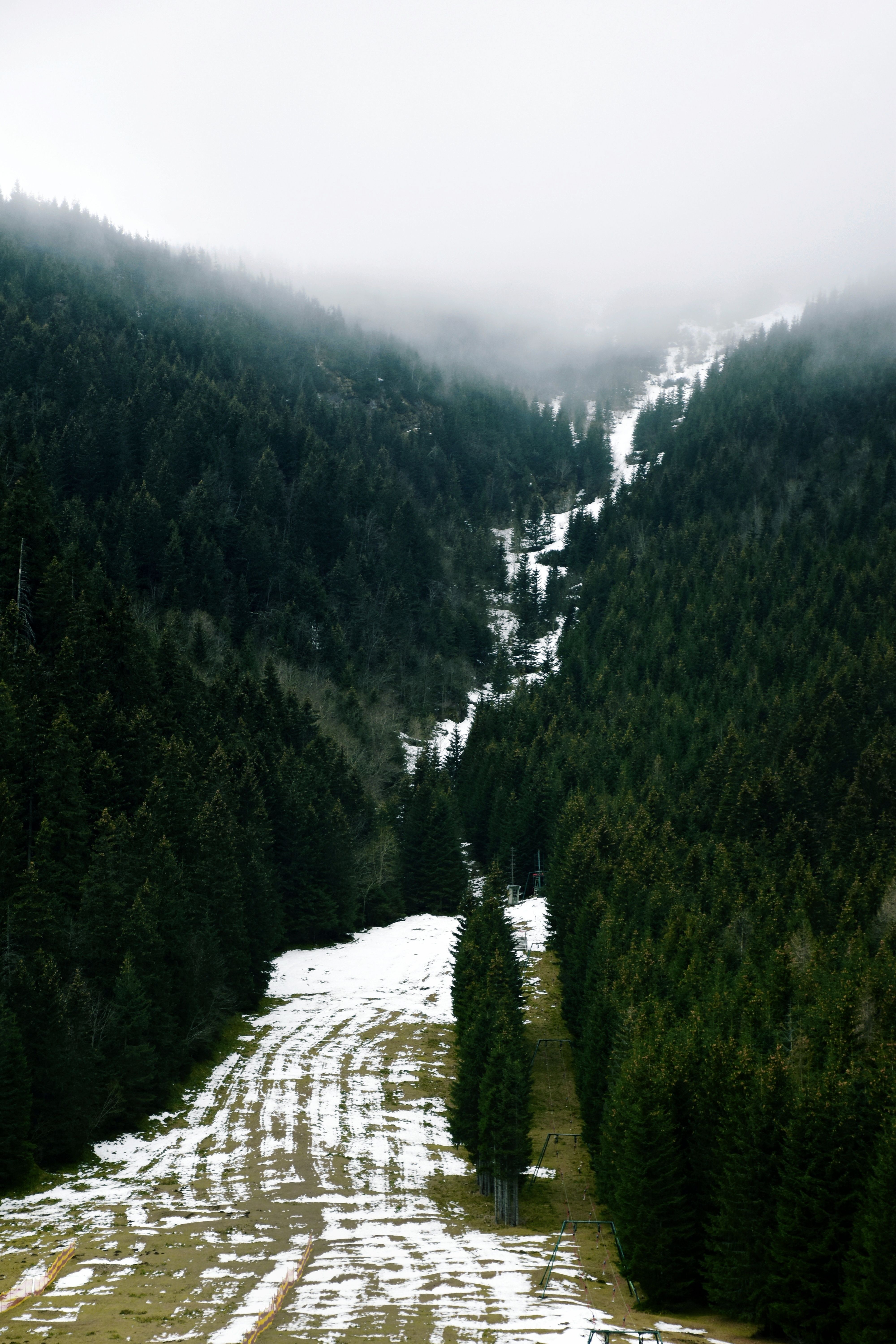 Snow between Forests · Free Stock Photo