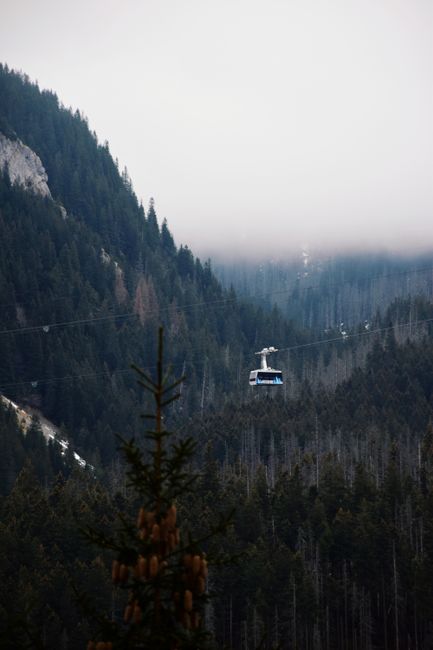 Cable car traversing misty forested mountains in Zakopane, Poland.