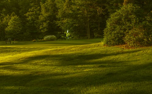 Základová fotografie zdarma na téma golfové hřiště, scenérie, sport