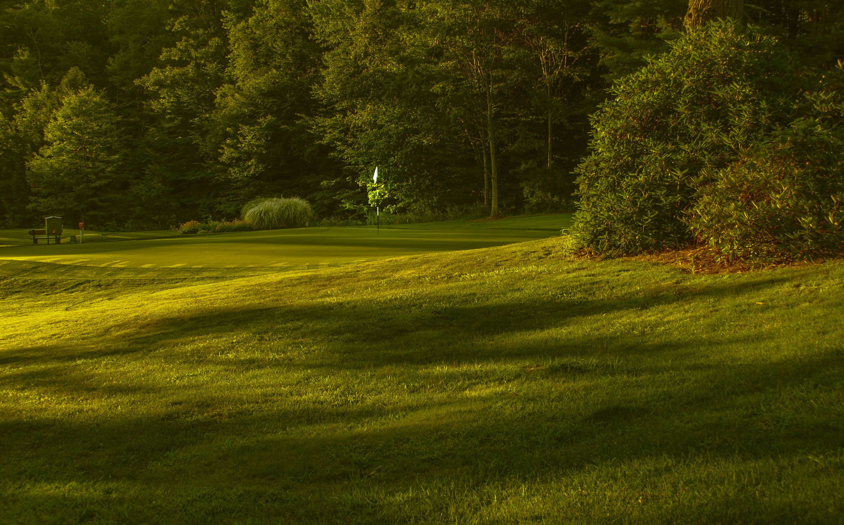 Il green del campo da golf al tramonto