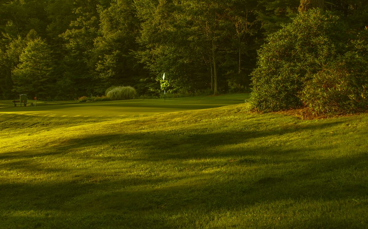 Green de golf avec drapeau dans un paysage verdoyant