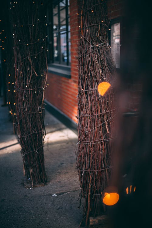 Brown Twigs Decor Bei Nacht