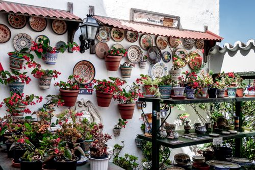 Free Vibrant decorative plates and flowers adorn a Mediterranean-style garden wall. Stock Photo