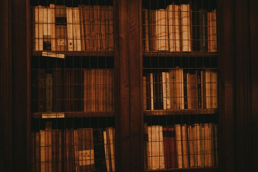 A vintage wooden bookcase filled with classic literature books, evoking a warm and nostalgic atmosphere.