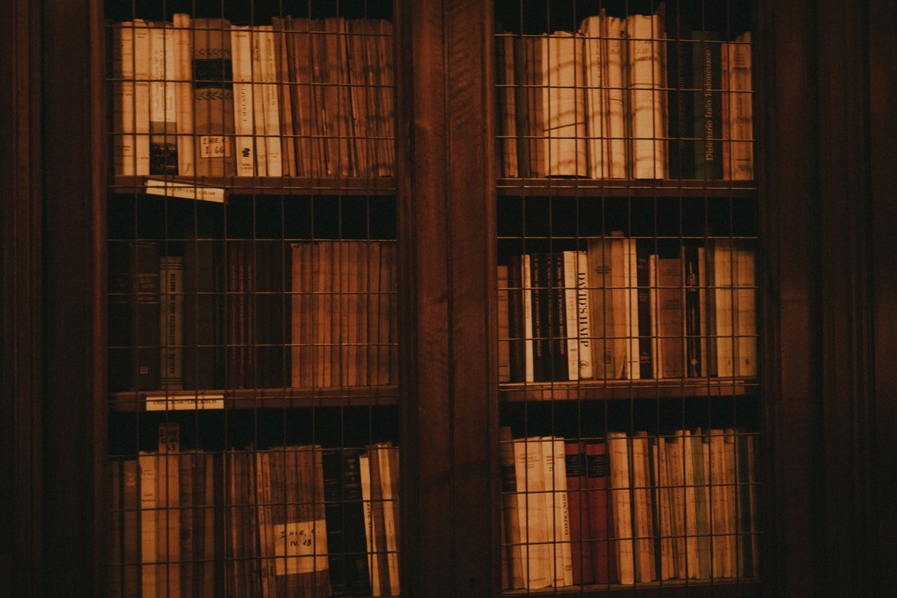 a vintage wooden bookcase filled with classic literature books evoking