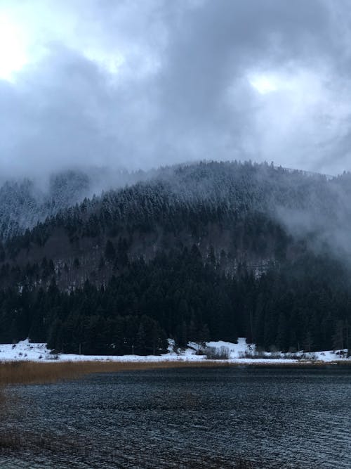 dikey atış, göl, kasvetli içeren Ücretsiz stok fotoğraf
