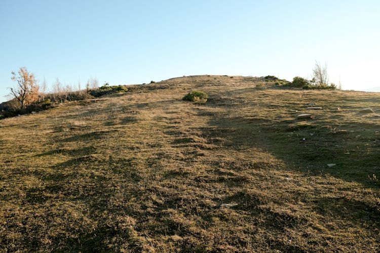 Green Grass On The Hill