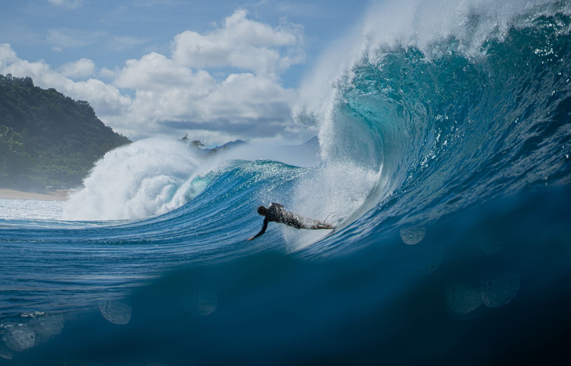 How You Can Ride the AI Wave