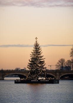 A decorated Christmas tree on a river at sunset in Hamburg, Germany.