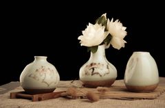 Glazed vases with white blooms — Luke Y on Pexels