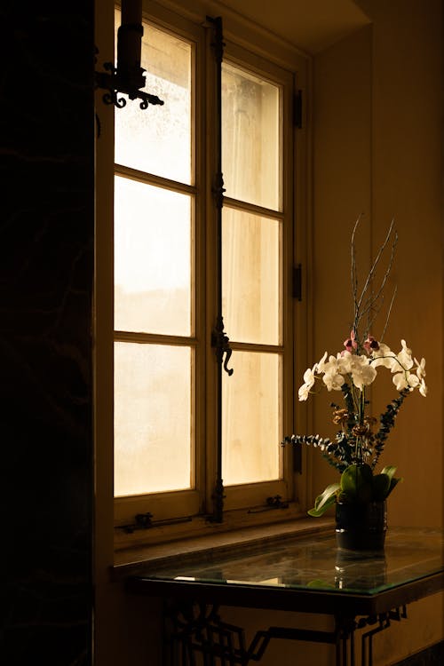 Gratis stockfoto met bloemen, detailopname, interieur