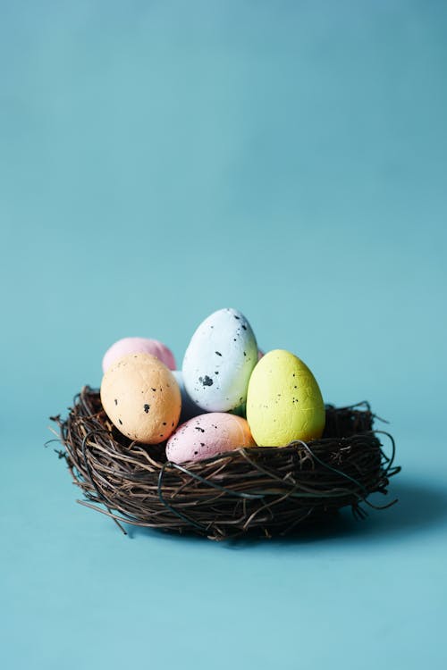 둥지, 부활절 계란, 부활절 달걀 사냥의 무료 스톡 사진