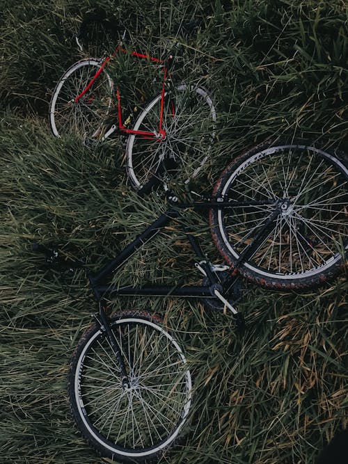 Bicycles in Grass