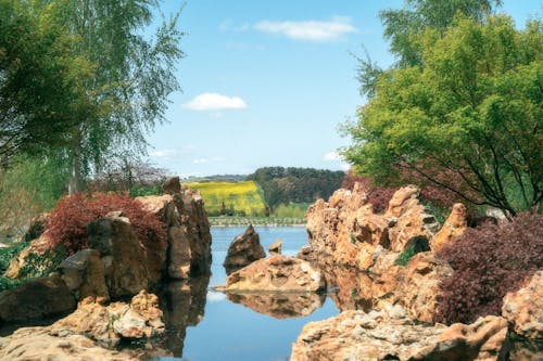 Rocks and Trees around Lake