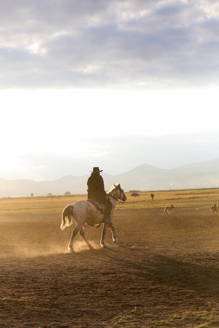 Man Riding A Horse On Brown Field