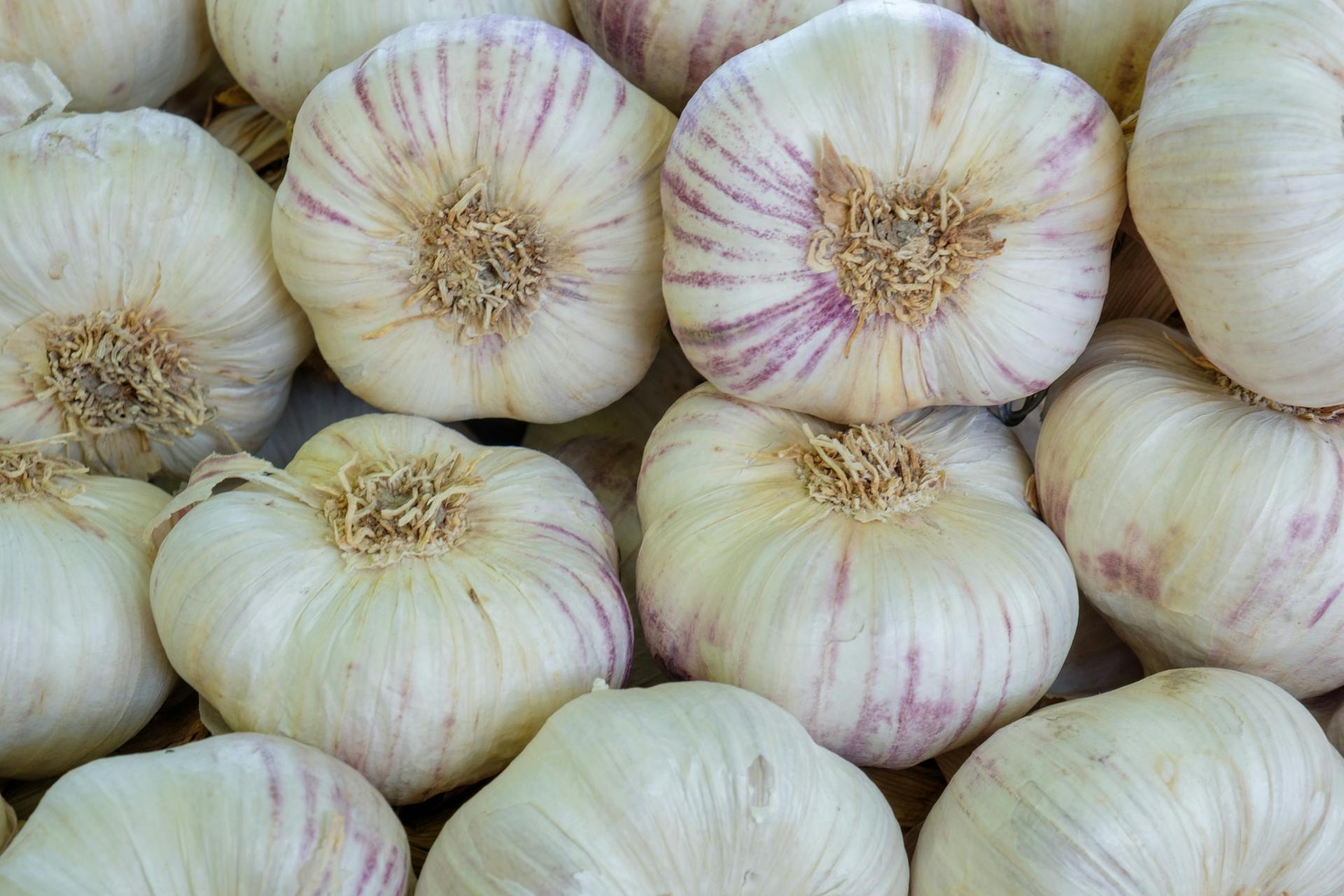 Close-up view of fresh organic garlic cloves displaying natural purple streaks and textures.