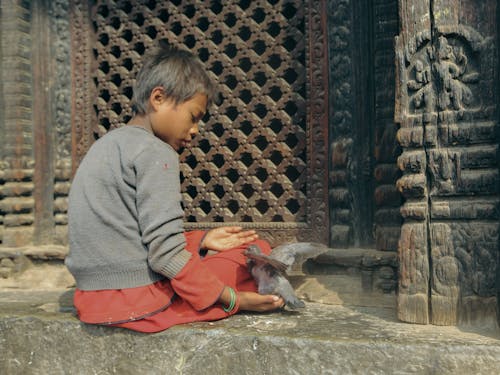 Foto stok gratis Agama Buddha, anak, anak muda
