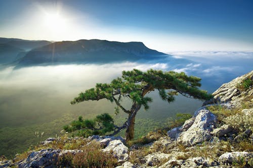 Peak Mountain Landscape - Higher Than Clouds