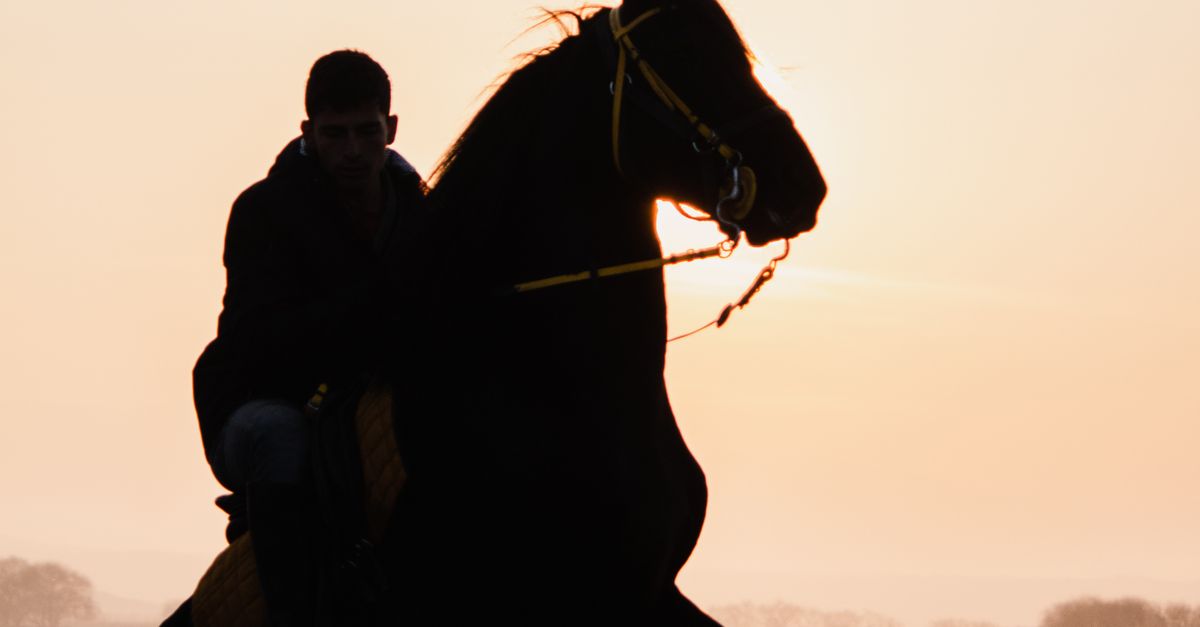 Person Rider Silhouette of Person Riding a Horse · Free Stock Photo
