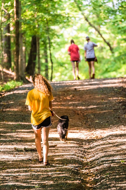 Back View Of Girl In Yellow Shirt  Walking On An Unpaved Road With Dog 