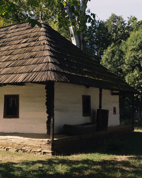 Free Charming old wooden cabin nestled among lush trees, offering a peaceful and rustic atmosphere. Stock Photo