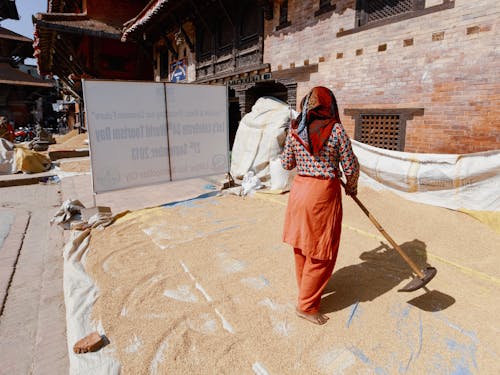 Woman Air Drying Grain