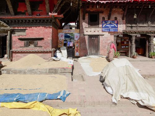 Free Rice drying in a traditional square surrounded by historic brick buildings. Stock Photo