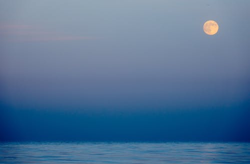 단순한, 달, 미니멀한의 무료 스톡 사진