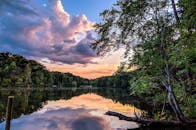 宁静的森林湖泊倒映着绚烂的日落天空，这迷人的景色令自然爱好者沉醉