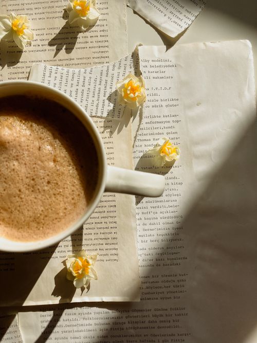 Free A warm coffee cup surrounded by delicate petals on vintage pages, basking in soft sunlight. Stock Photo