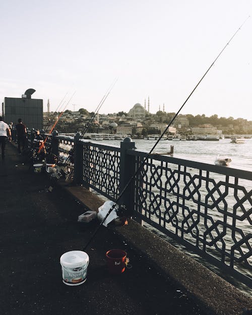 Immagine gratuita di canne da pesca, città, costa
