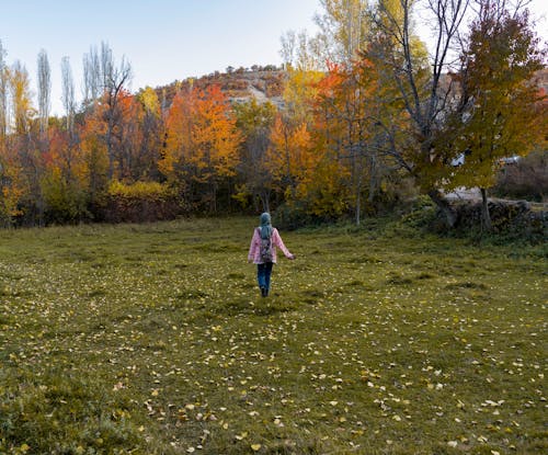 Back View of a Person Walking on Green Grass Field near Autumn Trees