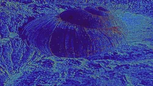 Free Pixel Schnecke 3D Stock Photo