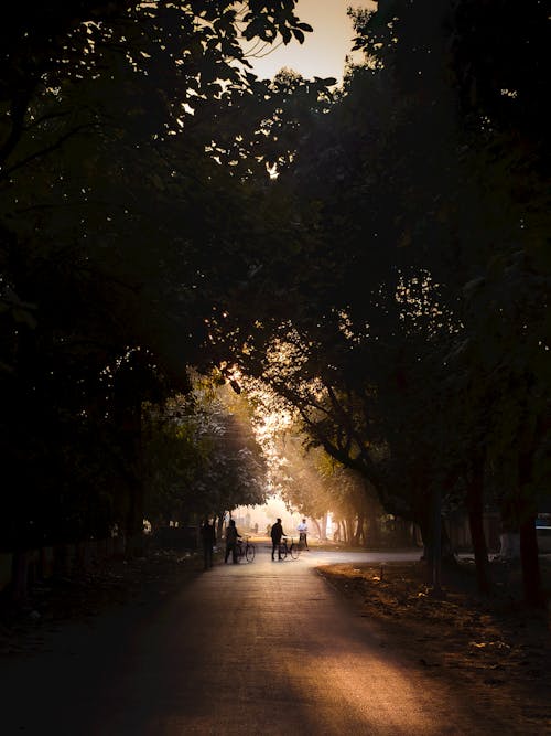 People with Bikes Walking on the Road