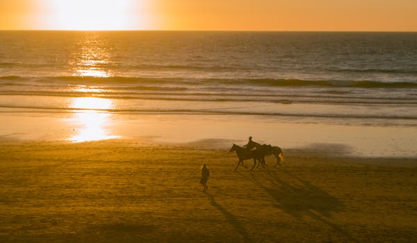 Silhouette of horseback riders on a beach during sunset in Taghazout, Morocco.
