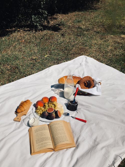 Book and Food on a Blanket