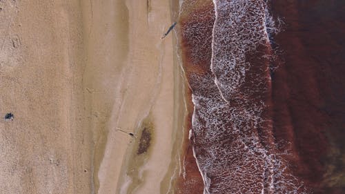 Photos gratuites de côte, eau, faire signe