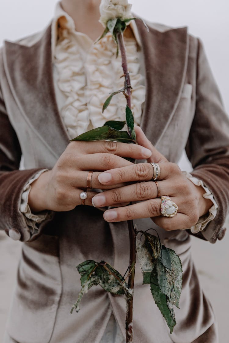 Close Up Of Man Hands Holding Flower