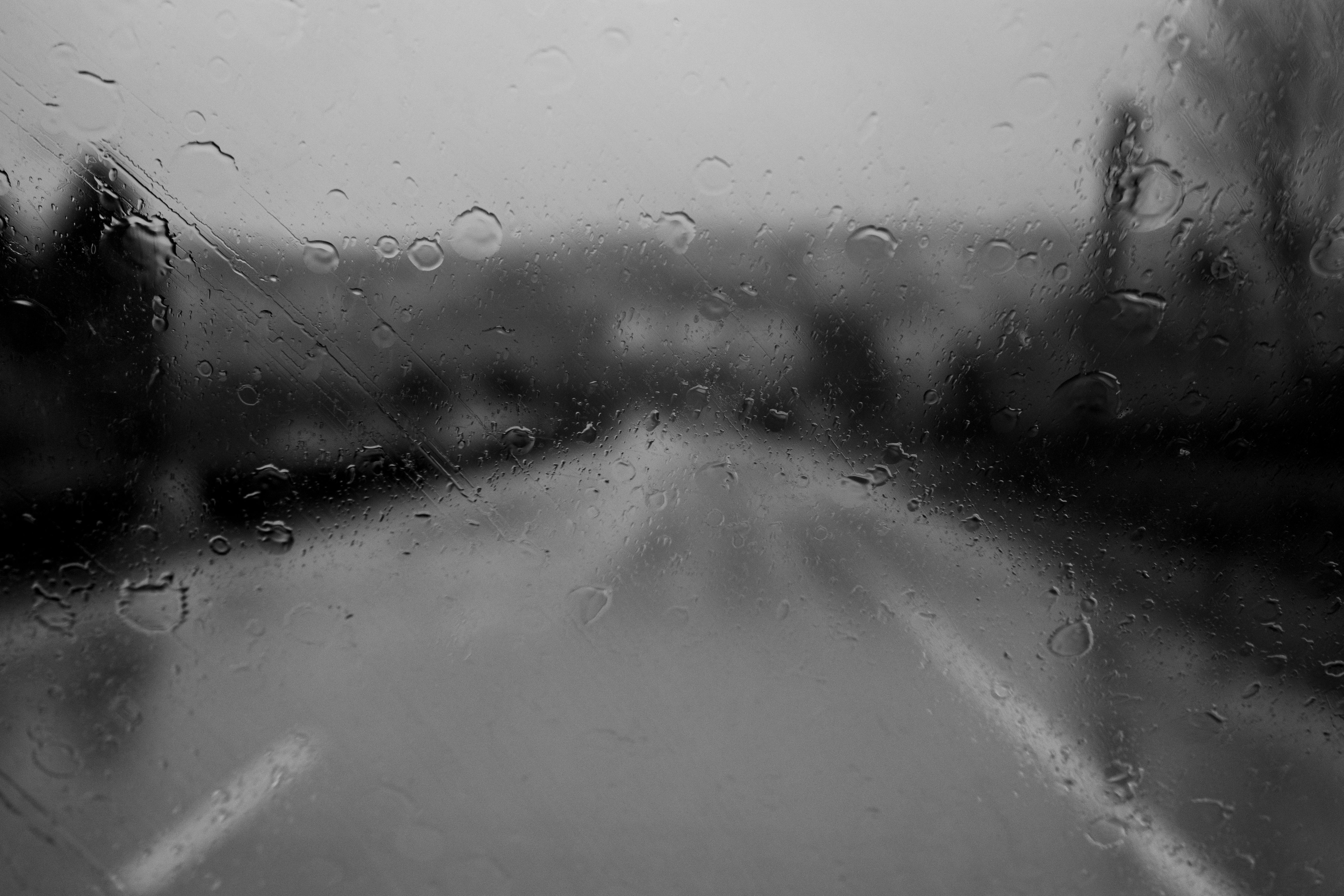 The 53% SaaS AI Traffic Drop: What 774,331 LLM Sessions Reveal About the Future of Software Discovery — Photo by Abdulvahap D