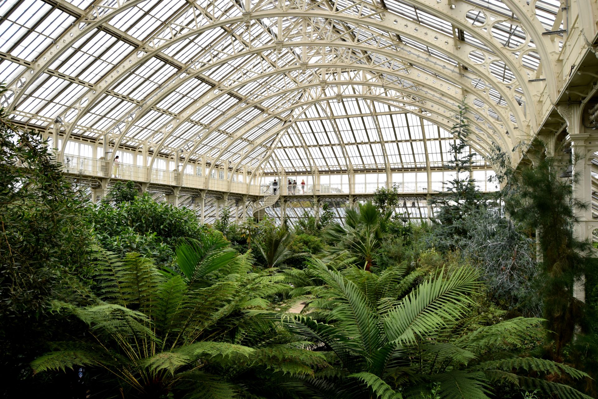 Explore the lush interior of London’s iconic Kew Gardens greenhouse with vibrant foliage and architectural design.