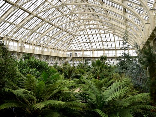 Explore the lush interior of London’s iconic Kew Gardens greenhouse with vibrant foliage and architectural design.