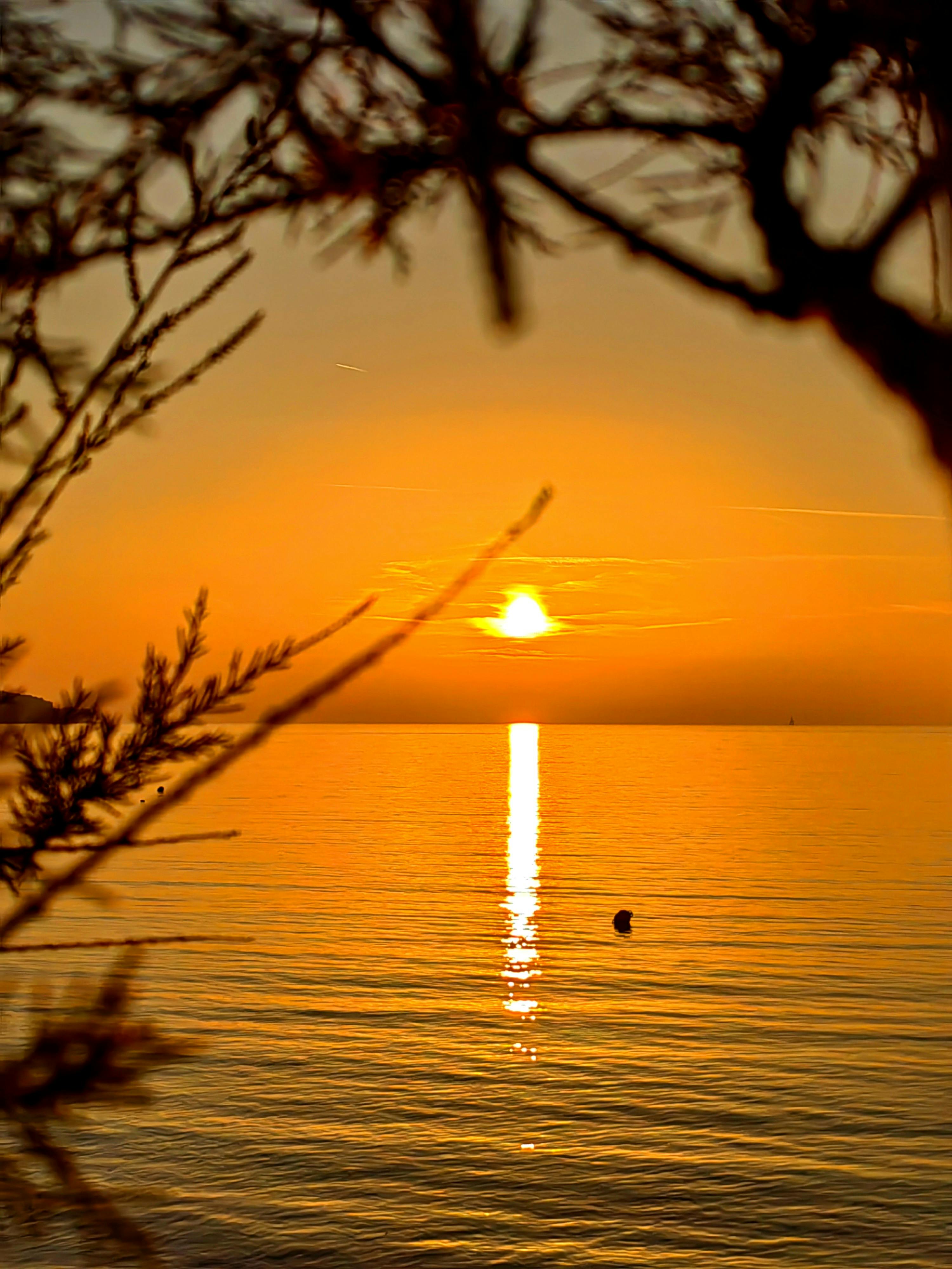 Ocean View During Sunset · Free Stock Photo