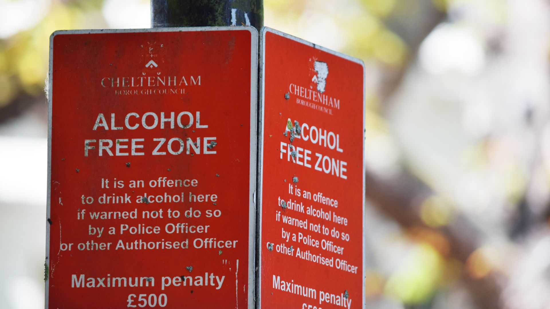 modafinil legal status UK: What You Need to Know Close-up of red Cheltenham alcohol-free zone sign with maximum penalty warning — modafinil legal status UK
