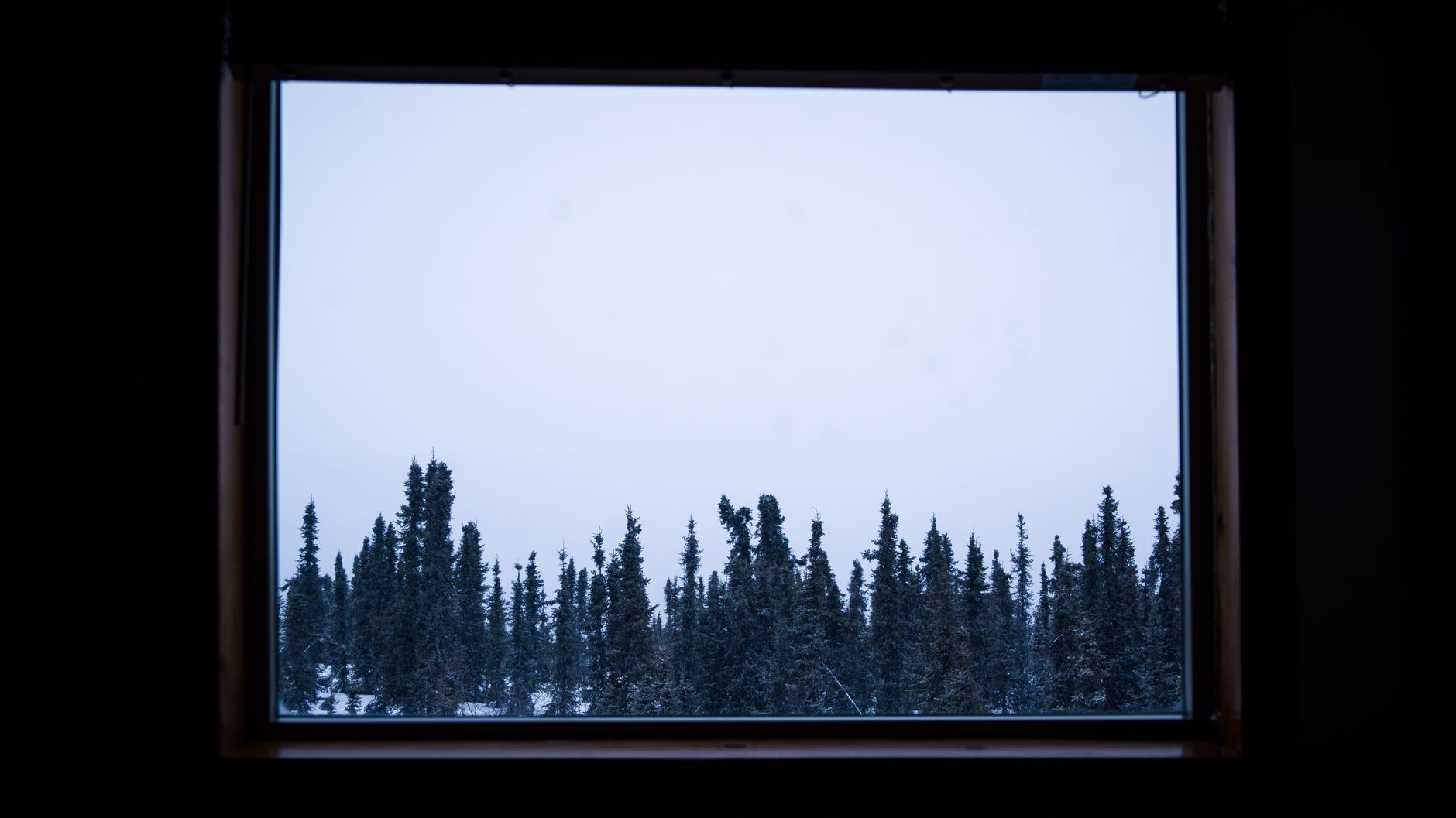 A serene winter forest view framed by a window, capturing snow-covered trees.
