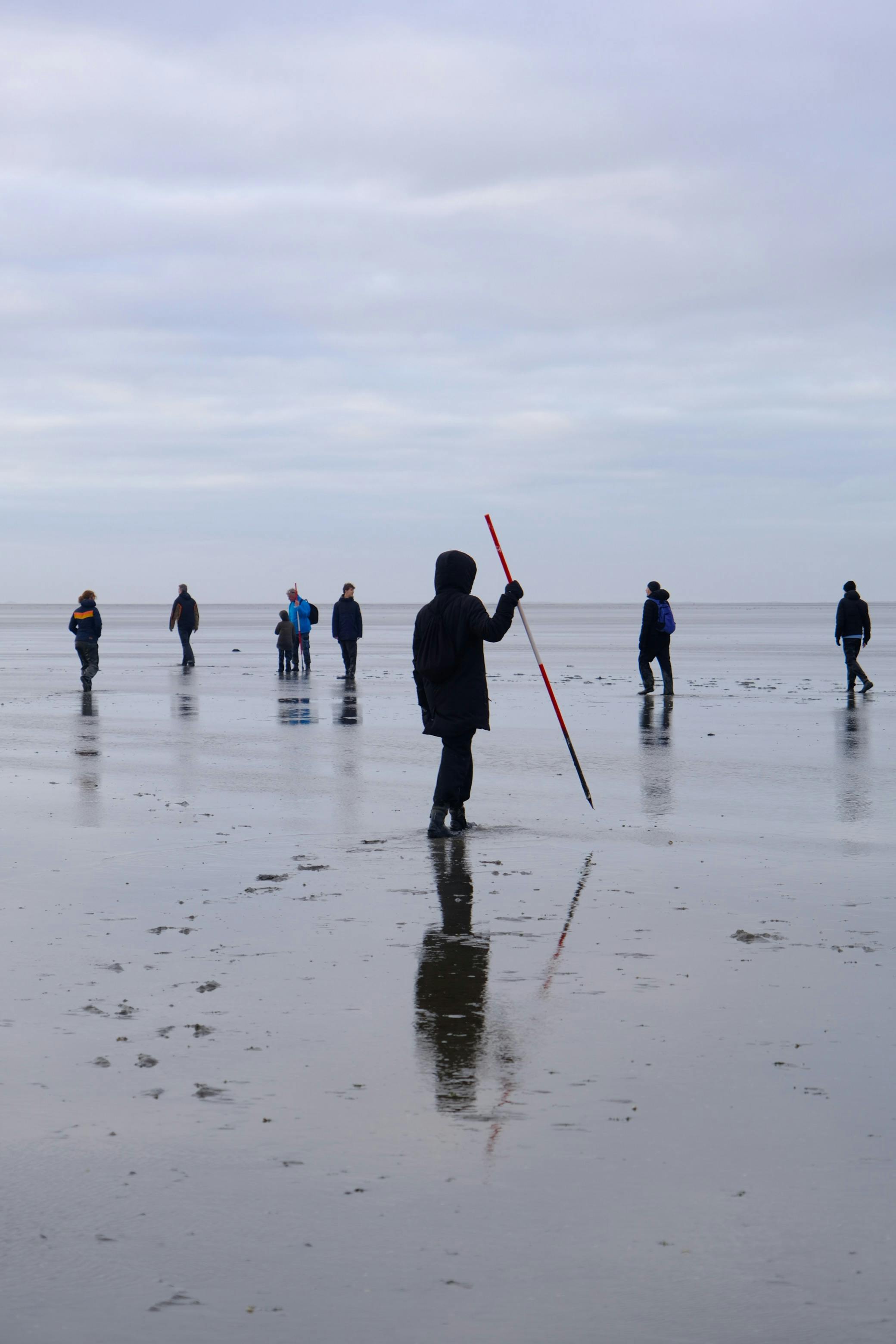 Wadlopen voorbeeld