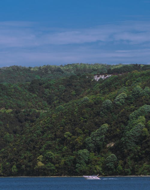 垂直拍攝, 山丘, 景觀 的 免費圖庫相片