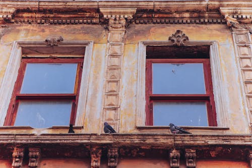 Kostenloses Stock Foto zu aufnahme von unten, fenster, gebäude