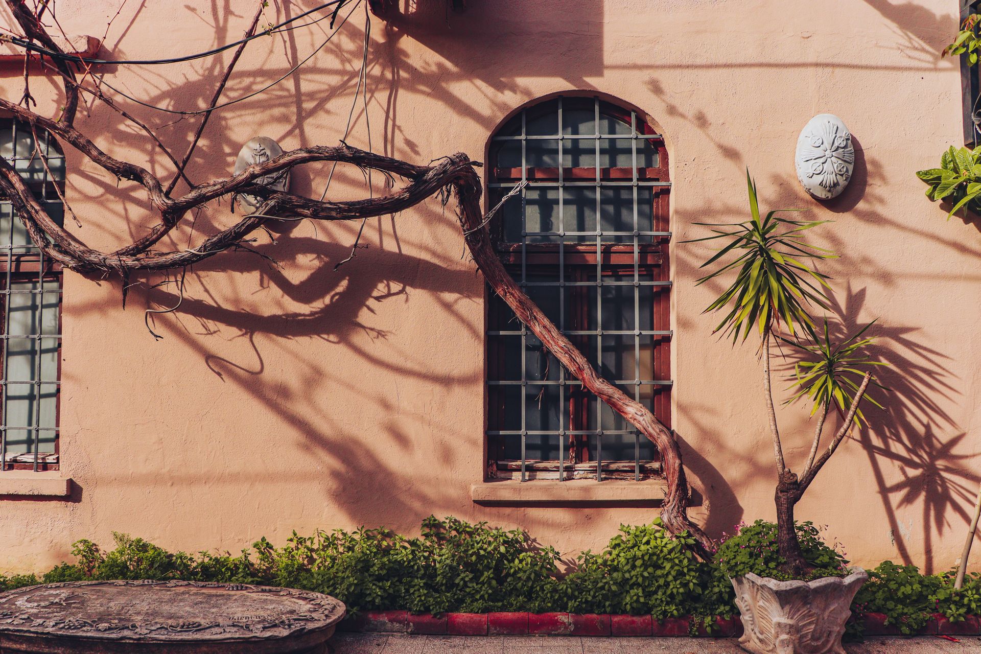 Picturesque building facade in Istanbul with vibrant plants and shadows from climbing vines.